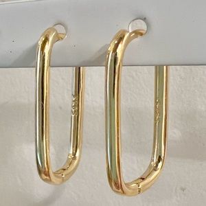 NWOT Gold Filled Hoop Earrings